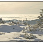 momentka z Krkonoš !