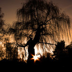 svítání na západě II