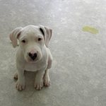 Už to neudělám...