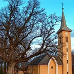 Chlievany