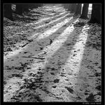 Stíny chrámových obrů