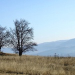 Sachticky 2006-toto ma byt zima!