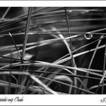 Nevyzpytatelné cesty Osudu