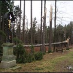 Když vichřice láme stromy