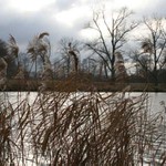 Prosinec 2006 u Labe