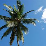 Z dovolči... :-) Snad Vás taky potěší :-)