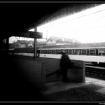 Through the sloppy window