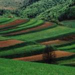 Oračiny v osade Slanec /foto:Kečkár/