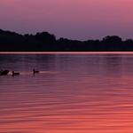 Západ slunce, voda, kachny, komáři, ...