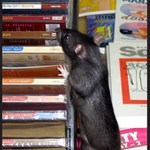 Máte "O myších a lidech"?