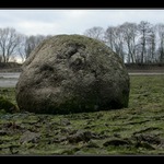 Stařec a vyschlé moře