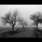 Kde cesty končí ...