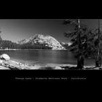 Tenaya Lake Panorama II.