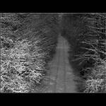..:: Snowy Railway ::..