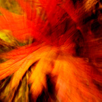 o jesennej abstrakcii-časť druhá :