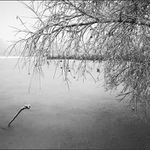 Náhlý konec sezóny