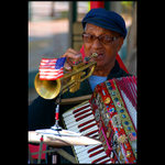 Multi instrumentalista
