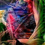 Fantasy