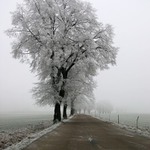 Letosni zima trvala 2 dny...