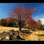 u Nové Vsi v Horách (Most)