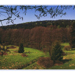 příroda se probouzí...