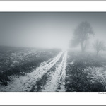 Cesta do neznáma III.