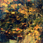 in praise of dreams 2