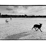 fotka s Hradčanama XIV