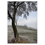 Stříbrné přání