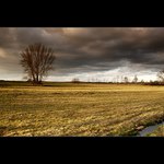 .: Podvečerní leden :.