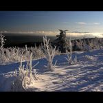 30.12....pohled z Šerlichu na Kralický Sněžník