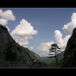 proti gustu......aneb samorost:-)