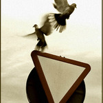 give way