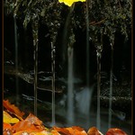 **Vzpomínka na podzim **