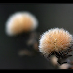 Parádnice v zrcadle...