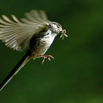 Chutná snídaně :o) jen trochu škrábe v krku..