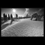 Trpím abstinečními příznaky...