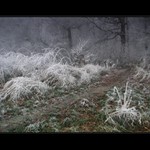 Keď sa zima ohlási  IV.