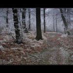 Keď sa zima ohlási  V.