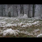 Keď sa zima ohlási  VI.