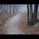 Keď sa zima ohlási  VII.