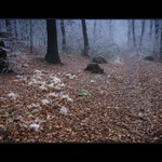 Keď sa zima ohlási  VIII.