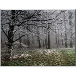 Túlavým chodníkom  II.