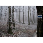 Túlavým chodníkom  III.