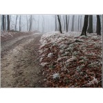 Túlavým chodníkom  IV.