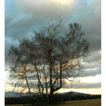 Leden v předhůří Beskyd