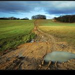 Když v lednu je jak v máji