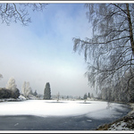 divišovský rybníček