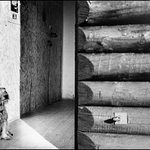 Lednové slunce na zápraží rybářské boudy