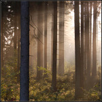 ..a není to tak dávko...